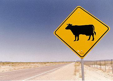 传《星球大战绝地：陨落的武士团》续作定名为“幸存者”